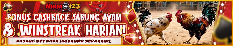 Ninja123 Bonus Cashback & Winstreak Sabung Ayam